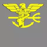 Navy SEAL pin