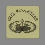 bordo bereliler, özel kuvvetler arması 2015