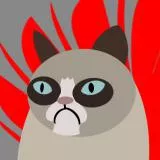 Grumpy Cat