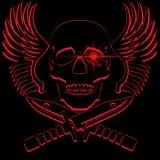 Winged skull emblem with knifes
