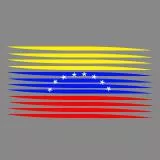 Venezuela Flag