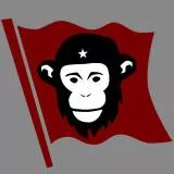 che guevara monkey 
