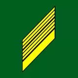 49th Sergeant First Class