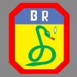 FEB - Força Expedicionária Brasileira