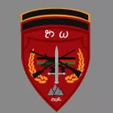 SF Commando Patch