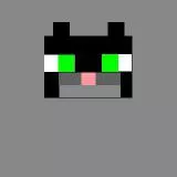 BLACK CAT MINECRAFT
