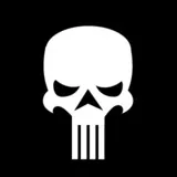 Punisher Skull