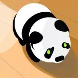 目が光るパンダのおもちゃ