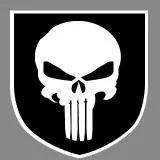 PUNISHER SEAL TEAM 3 shoulder patch