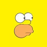 the face and Homer