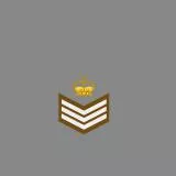 British Army Sergeant Major