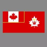 Canadian Army Flag Modern Era