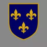 Ecusson Roi de France