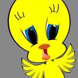 Tweety Pi (For Ross Ham)