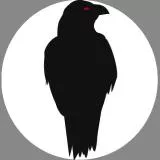 Stoic Crow