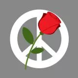 Rose N Peace