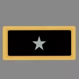 Brigadier General shoulder boards