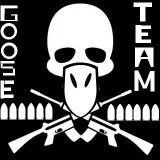Goose Team