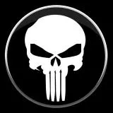 the punisher