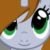 LittlePip