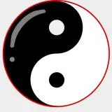  yin-yang