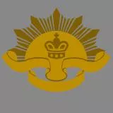1st Australian Imperial Force Insignia