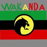 Flag of Wakanda 