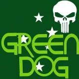 green dog