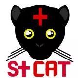 saintcat