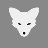 Polar fox
