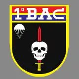 1 batalhão de ações de comandos